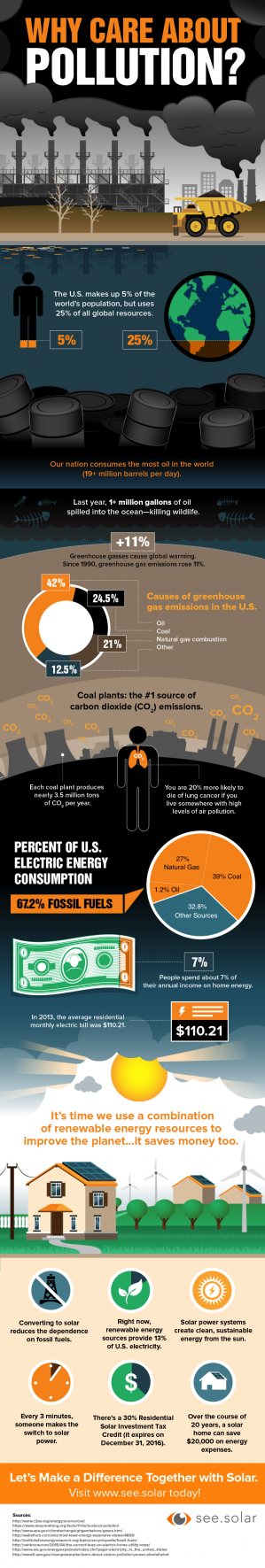 Why Care About Pollution Infographic